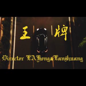 猫咪www免费人成网站小说
