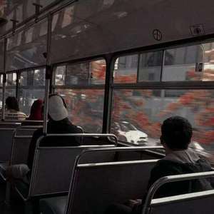 猫咪www免费人成网站小说
